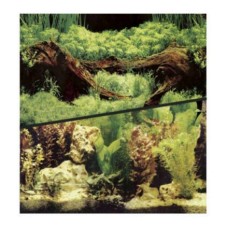 Фон для аквариума HAGEN двухсторонний растительный/растительный 45см (цена за 10см)