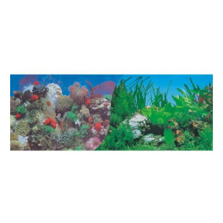 Фон HAGEN двухсторонний 30см. Кораллы (синий)/Растительный с белым камнем (цена за 10см)