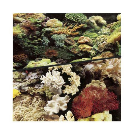Фон для аквариума HAGEN двухсторонний рифовый/рифовый 45см (цена за 10см)