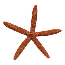 Декорация для аквариумов MEIJING AQUARIUM Морская звезда оранжевая