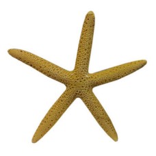 Декорация для аквариумов MEIJING AQUARIUM Морская звезда желтая