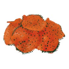 Декор для аквариумов JELLYFISH Коралл Ковровая Актиния светящийся оранжевый D=10см