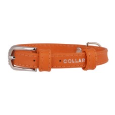 Ошейник для собак COLLAR Glamour без украшений 15мм 27-36см оранжевый